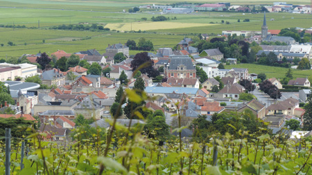 The Village of Avize and vineyard Franck Bonville.