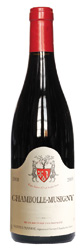 Vieilles Vignes