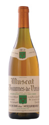 Muscat