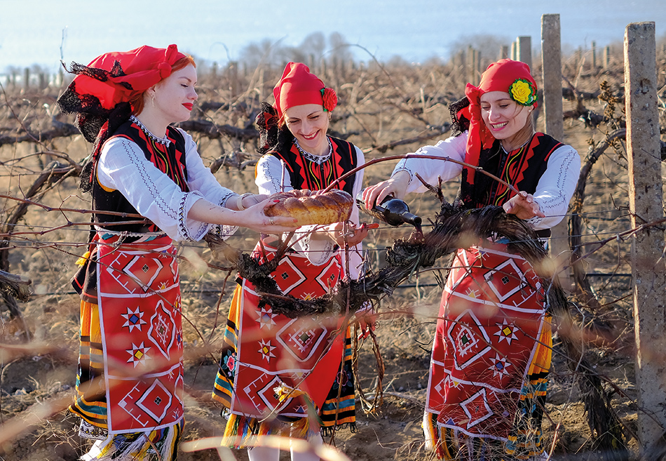 Vignoble Winehall Oksamytne