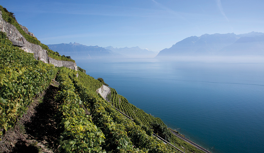 ©Office des vins vaudois