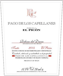 El Picón