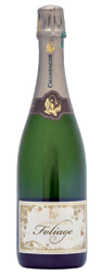 Brut