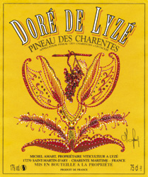 Doré de Lyzé